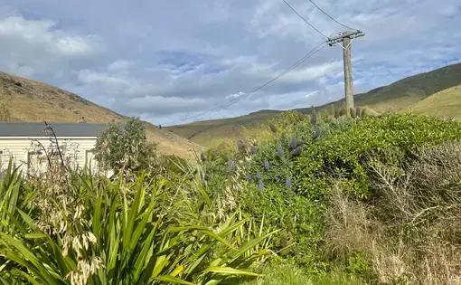 A home outside Awaroa, or Godley Head, of the Port Hills outside Christchurch. Image by Kate Mabus. New Zealand, 2022.