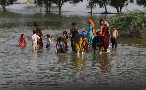 People wade through shin-high water