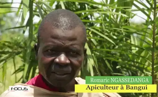 Youtube thumbnail for the beekeeping video. A still of Romaric Ngassedanga, who has removed his apiary mask for a video interview.