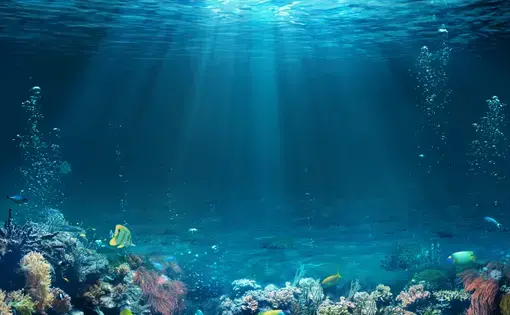 Underwater scene - Tropical seabed with reef and sunshine