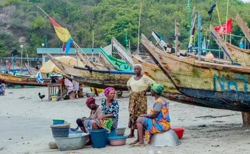 people sit on a coast in front of boat bows.