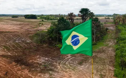 A Brazilian flag on the foreground and devastated land in the background.