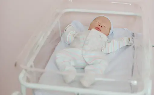 A swaddled baby in a clear bassinet