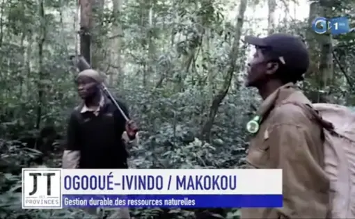 Gestion durable de la chasse par les communautés locales Ogives