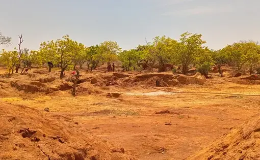 In Côte d'Ivoire, these initiatives that bring life back to land degraded by gold panning