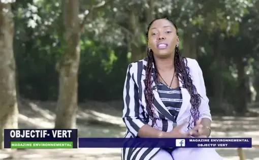 Video: Impacts of Natural Resource Exploitation in Basoko (French)
