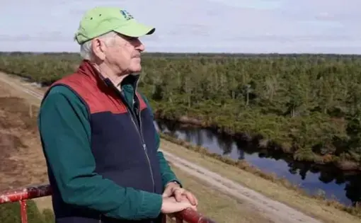 a man looks out over peatland on the North Carolina coast