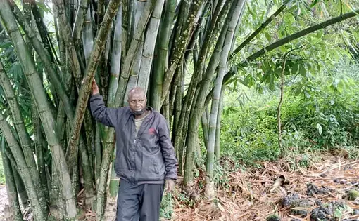 The RDB (Rwanda Development Board) officer responsible for protecting the Gihondohondo forest, Muhinzi Alphonse
