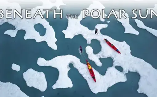 Aerial view of kayaks on ice floes