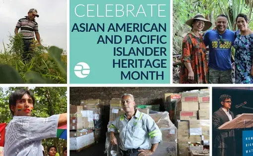 AAPI graphic
