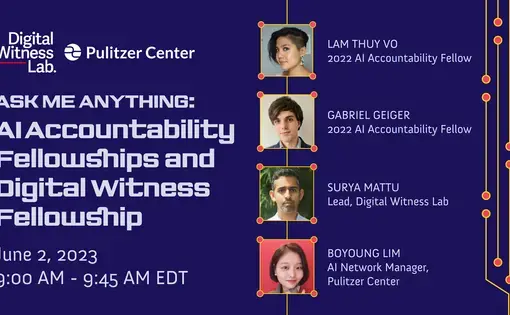 text: Ask Me Anything: AI Accountability Fellowships and Digital Witness Fellowship