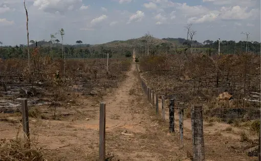 A dirt road runs through arid, deforested land where few trees remain.