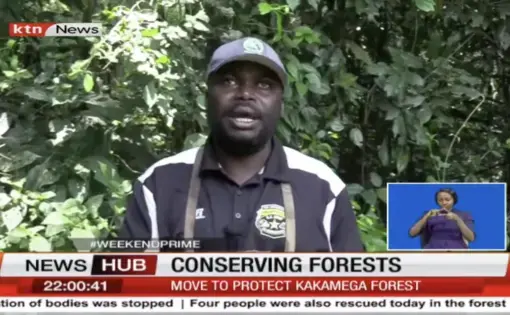 kakamega forest