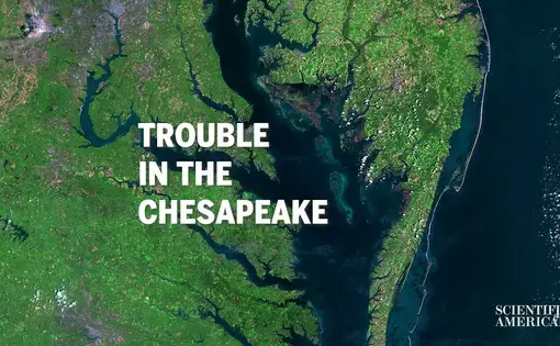 "Trouble in the Chesapeake" graphic