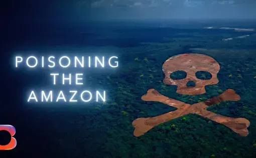 "Poisoning the Amazon" next to a skull and bones carved out of the forest