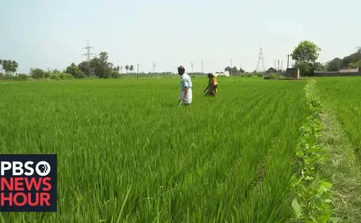 Two people standing in a field