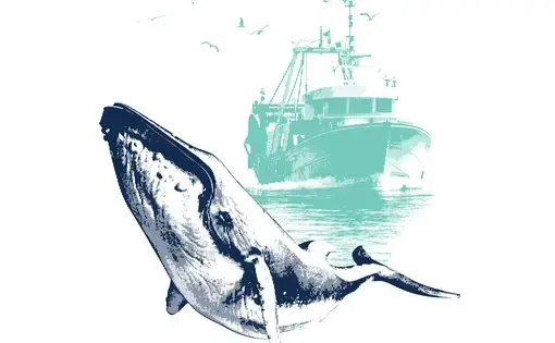 halftone illustration of a navy whale in front of a fishing boat on the water with birds in the air
