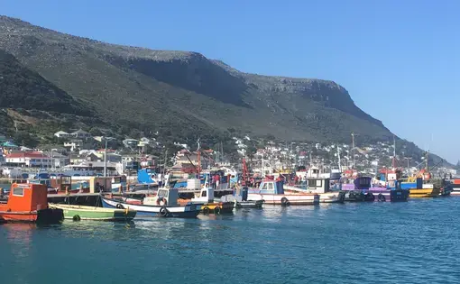 Fishing boats line the shores of Kalk Bay