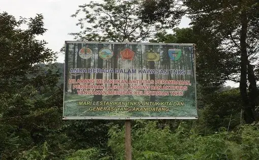 A signboard notifying about the TNKS Forest Area in Tapan, Pesisir Selatan Regency, Bara Sumatra