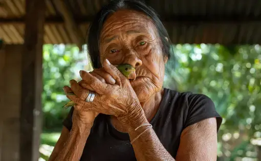 A woman nestles her pet parrot close to her face.