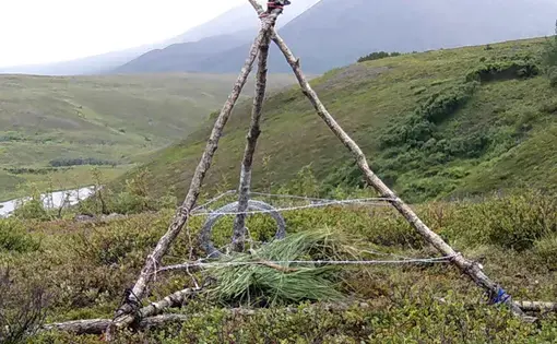 Three sticks lean together to form a shelter