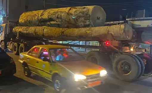 A truck carries unmarked logs on a nighttime city street.
