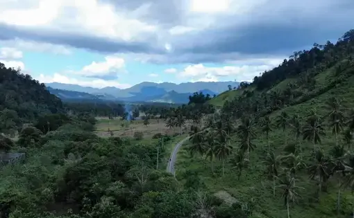 The Bogani Nani Wartabone National Park (TNBNW) area directly adjacent to community plantations. Image by Franco Bravo Dengo/Lipu Naratif. Indonesia, 2023.