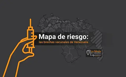 Cover image for vaccine map graphic