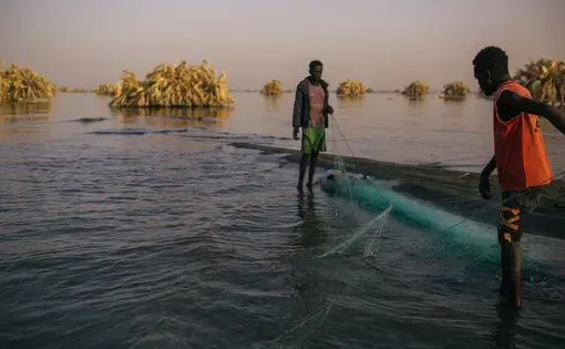 Two men stand in calf-deep water holding a fishing net at dusk