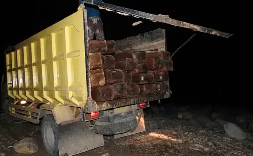 A truck full of illegally cut timber wood.