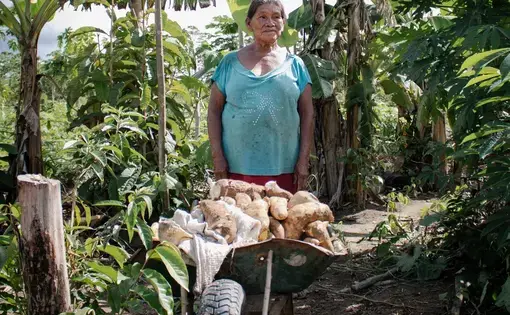 A cart full of harvested manioc stands in front of an old lady with a kind face.
