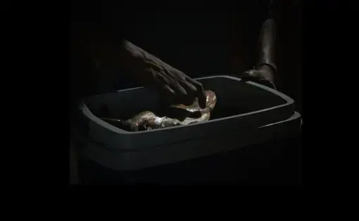 A hand puts a fish in a box.