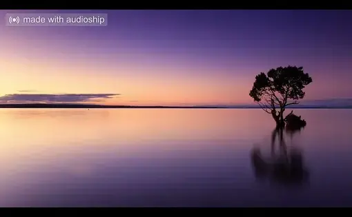 youtube thumbnail with a sunset over a lake and a tree