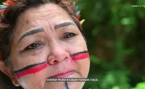 A woman's face: "Boi, violência e desmatamento: Como o avanço da pecuária acabou com as florestas do Sudeste do Pará" video thumbnail