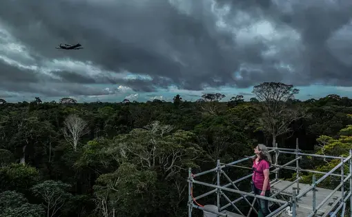 Luciana Gatti stands on the tower and gazes into the distance.