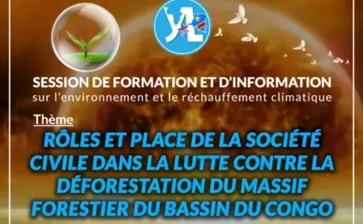 Roles et place de la societe civile dans la lutte contre la deforestation du massif forestier du bassin du Congo
