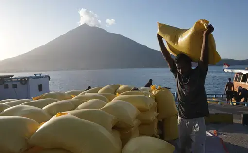 A man lifts a yellow bag full of rice.