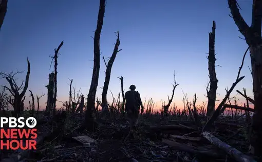 The silhouettes of a man walking among destroyed tree stumps is backlit by a risingsun.