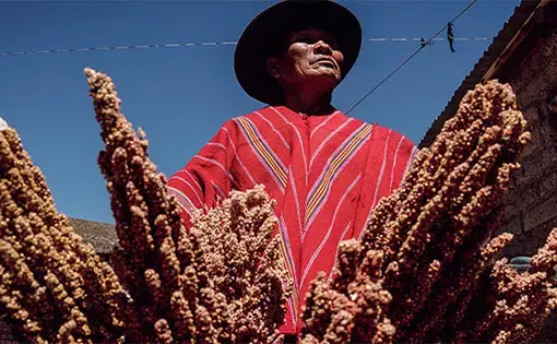 A man in a hat holds grains
