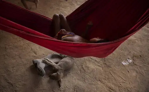 a boy in a hammock and a dog at the ground