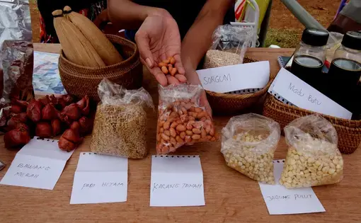 food in Indonesia