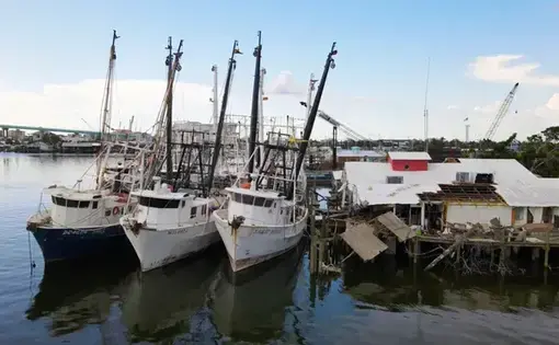 boats on the water