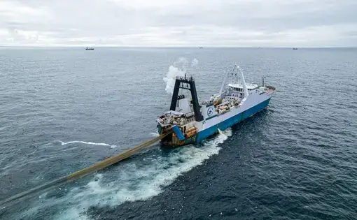 A factory trawler hauls in a net on the ocean.