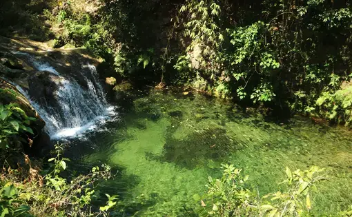 A waterfall.