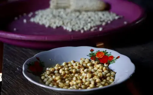 A plate full of grains.