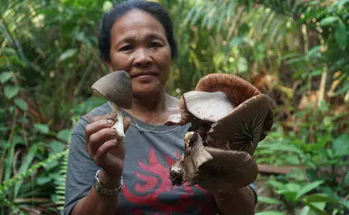 A woman holding giant mushrooms.