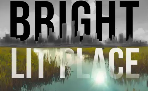 Bright Lit Place graphic