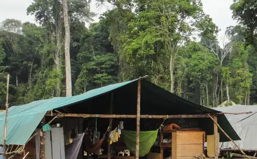 a shack in the rainforest