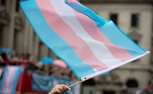 transgender flag