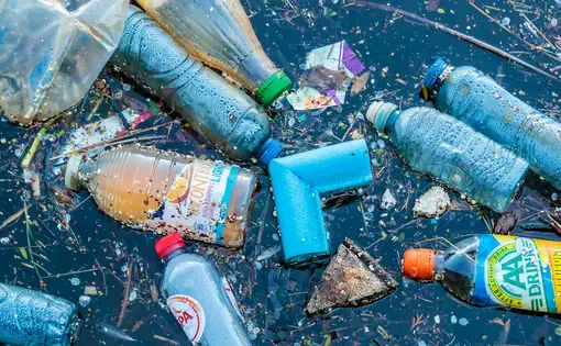Plastic bottles floating in standing water